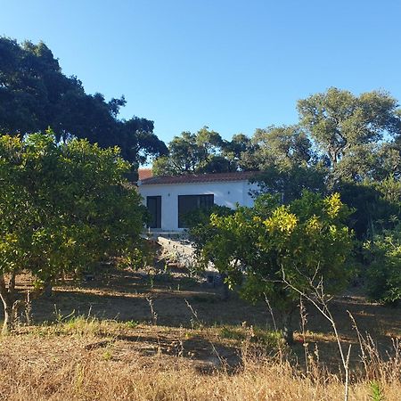 Quinta De Sao Pedro Villa Sobreda Exterior photo